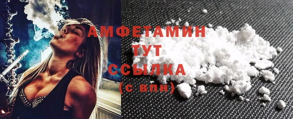 гидра Абаза