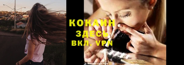 тгк Алексин