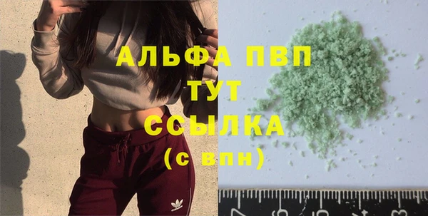 гидра Абаза