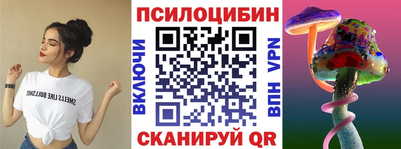 Псилоцибиновые грибы мицелий  где можно купить   Петров Вал 